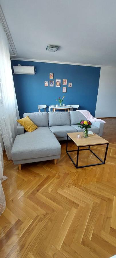 Appartement Plavi Zec à Subotica Extérieur photo
